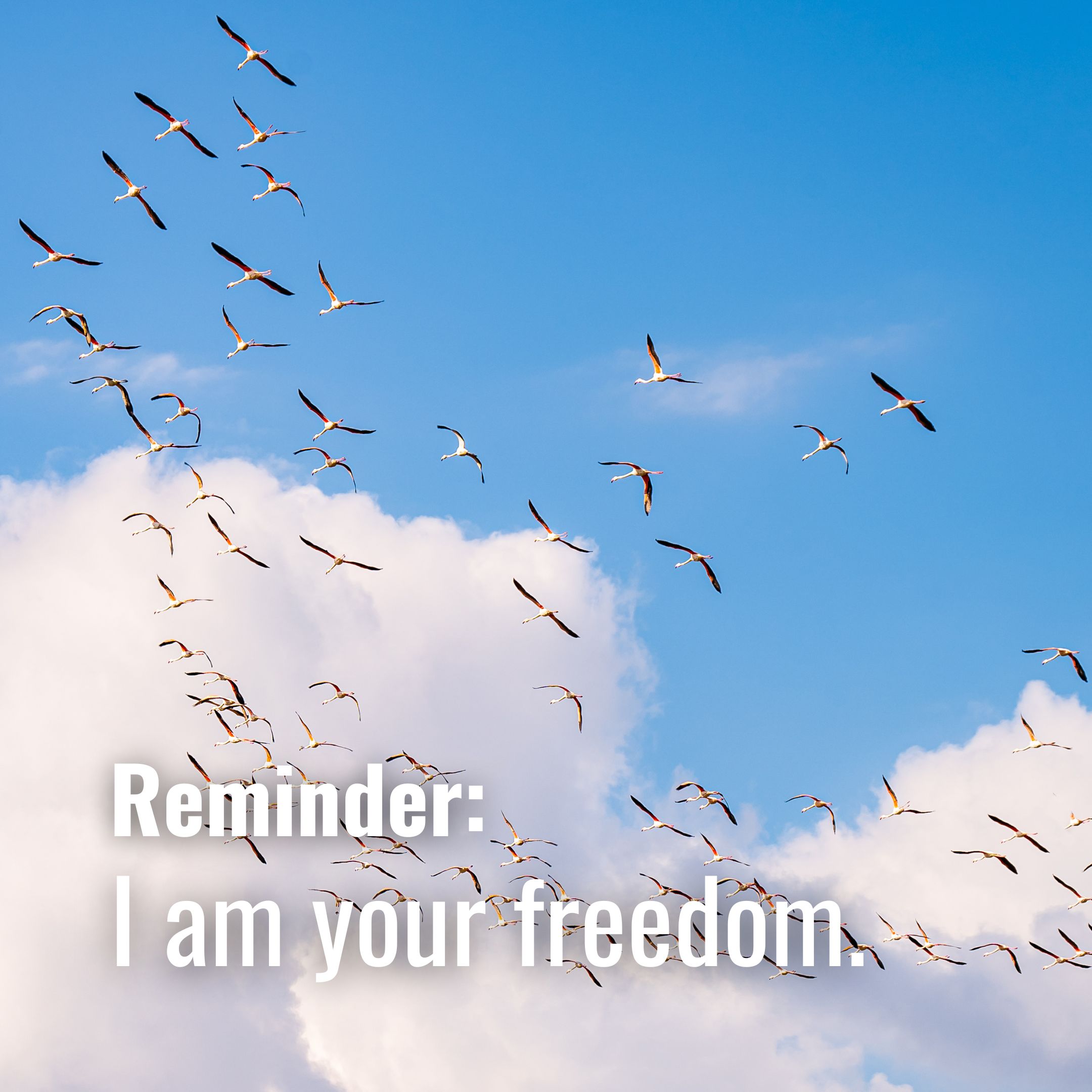 I am your freedom.